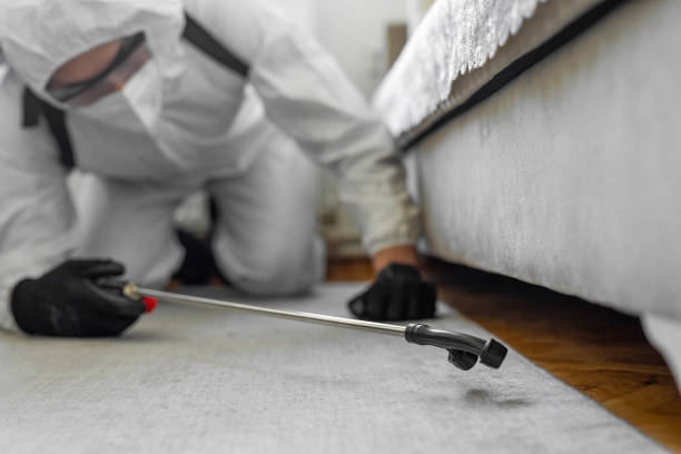 Professional Bed Bug Control technician working in Columbus, TX
